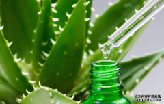 ̩«aloe vera